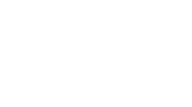 bonus